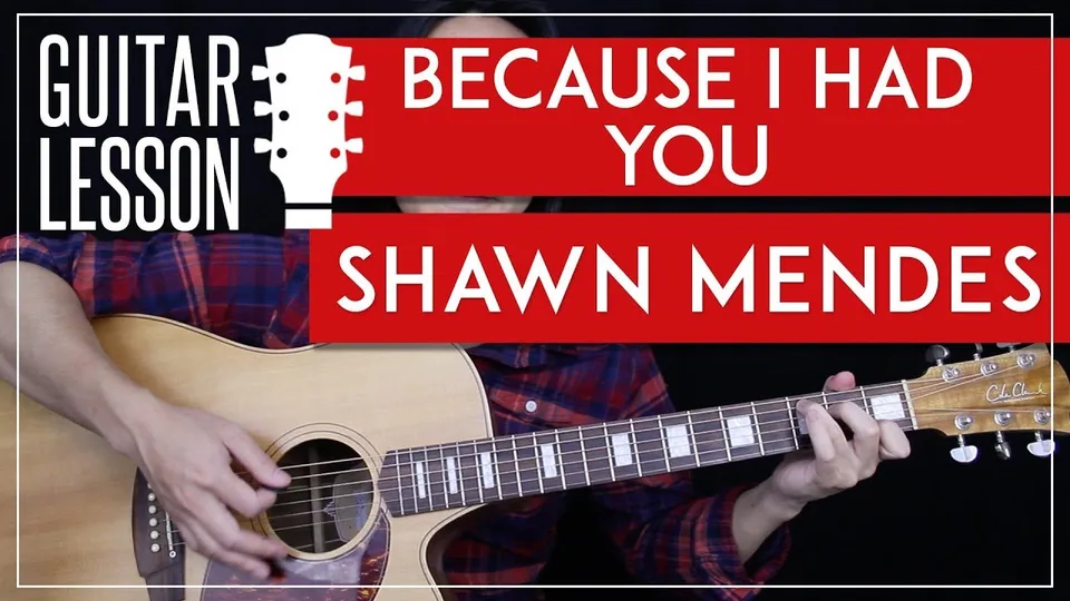 Shawn Mendes - Because I Had You guitar lesson