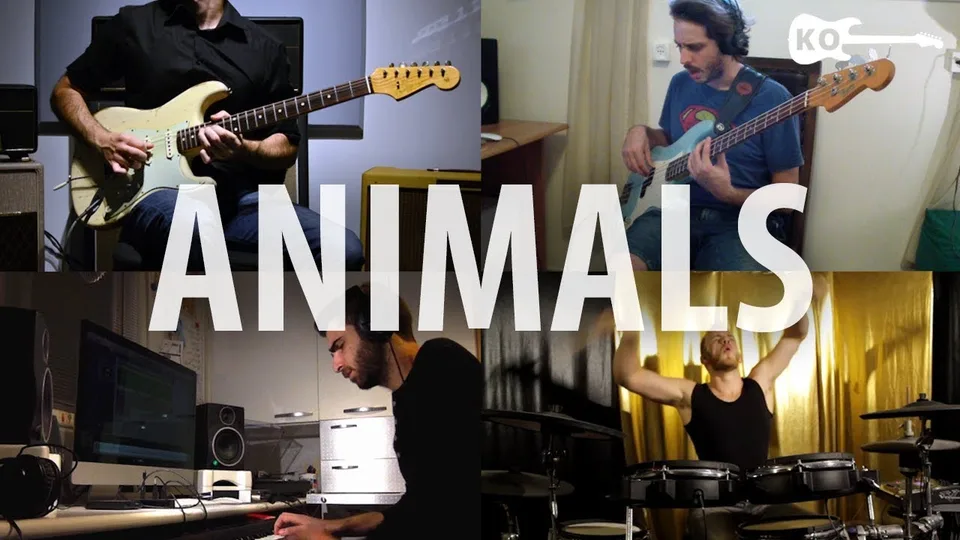 Animals - Band - Kfir Ochaion guitar cover